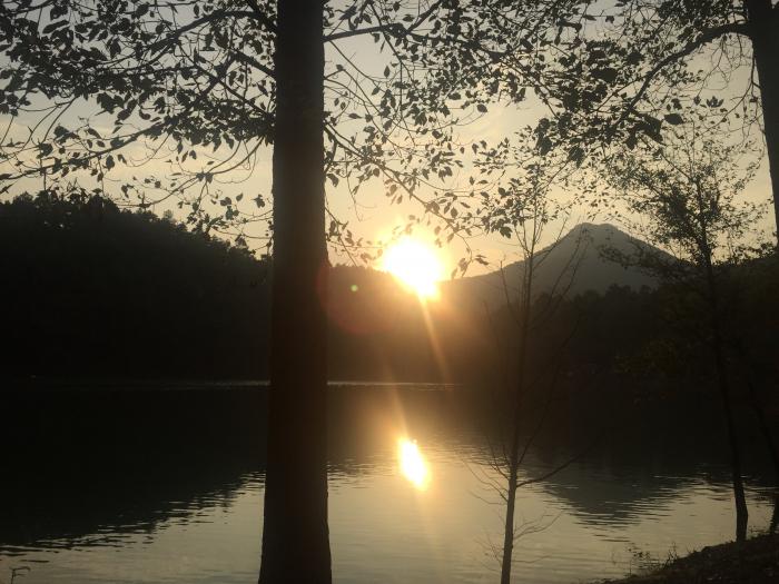 Early Riser