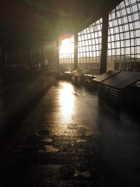Early Riser