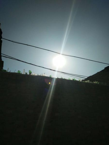 Early Riser