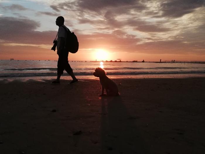 Early Riser